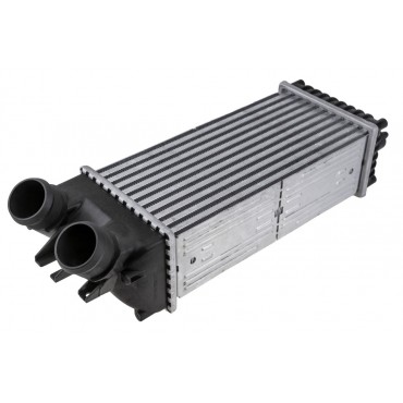 Intercooler échangeur d'Air Pour Citroën Berlingo First Xsara Picasso 0384.G5