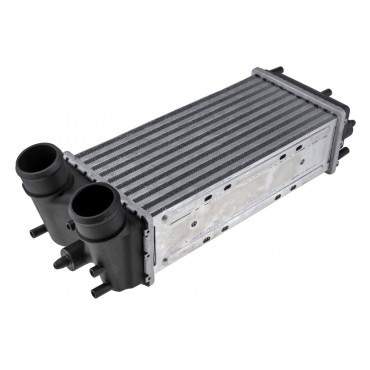 Intercooler échangeur d'Air Pour Ford Transit Courier 2014-2023 FT766K775BA