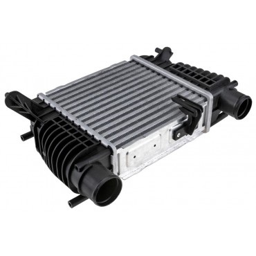 Intercooler échangeur d'Air Pour Nissan Cube Juke Note Nv200 Evalia 8200471888