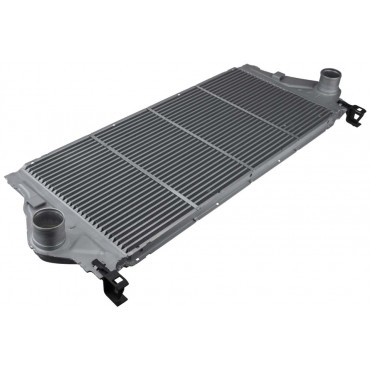 Intercooler échangeur d'Air Pour Renault Espace IV Laguna Vel Satis 8200008761