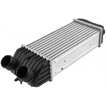 échangeur d'Air Intercooler Pour Citroën C2 2005-2009 9651184880 0384J4 0384N1