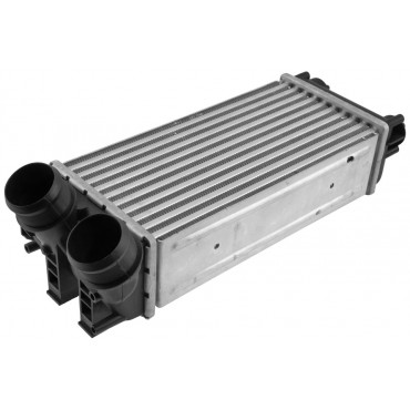 échangeur d'Air Intercooler Pour Citroën Berlingo C4 II Ds4 Ds5 0384N9