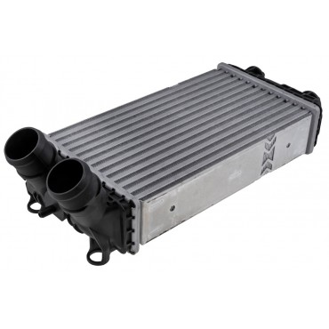 échangeur d'Air Intercooler Pour Opel Mokka Corsa F Peugeot 208 2008 9824742280